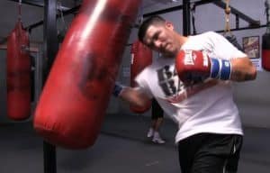 how to choose the best brand punching bags