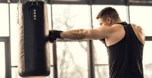 best punching bag brands review